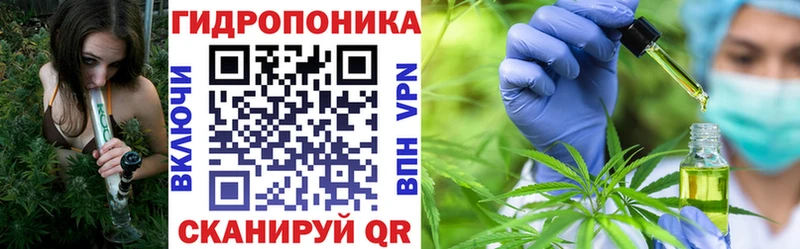 Купить наркотики Карабаново КОКАИН  Бошки Шишки  Галлюциногенные грибы  ГАШИШ  kraken ONION  Мефедрон 