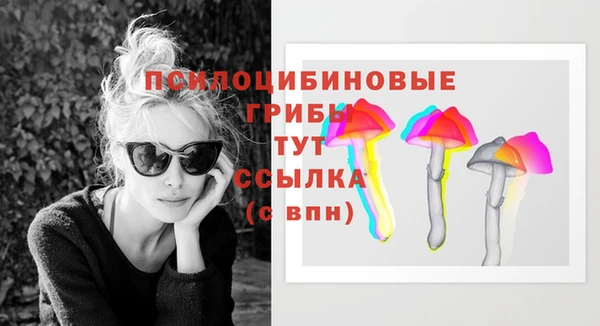 PSILOCYBIN Заволжск