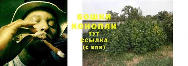 PSILOCYBIN Заволжск