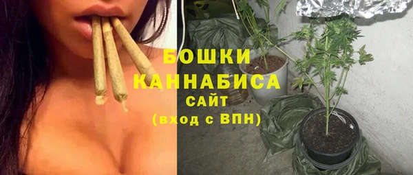PSILOCYBIN Заволжск