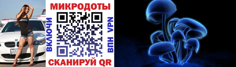 Псилоцибиновые грибы MAGIC MUSHROOMS купить кракен ONION маркетплейс какой сайт Карабаново