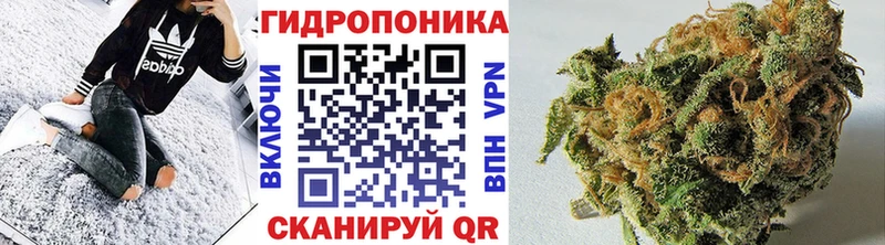 Бошки марихуана Amnesia  Карабаново 